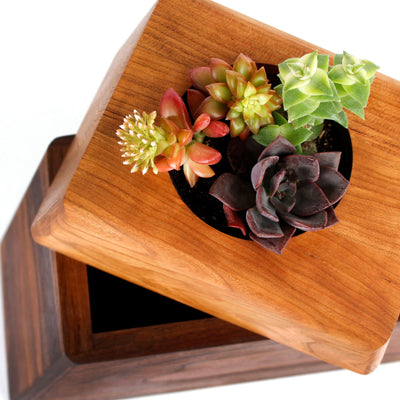 The Living Urn Planter - Green Farewells