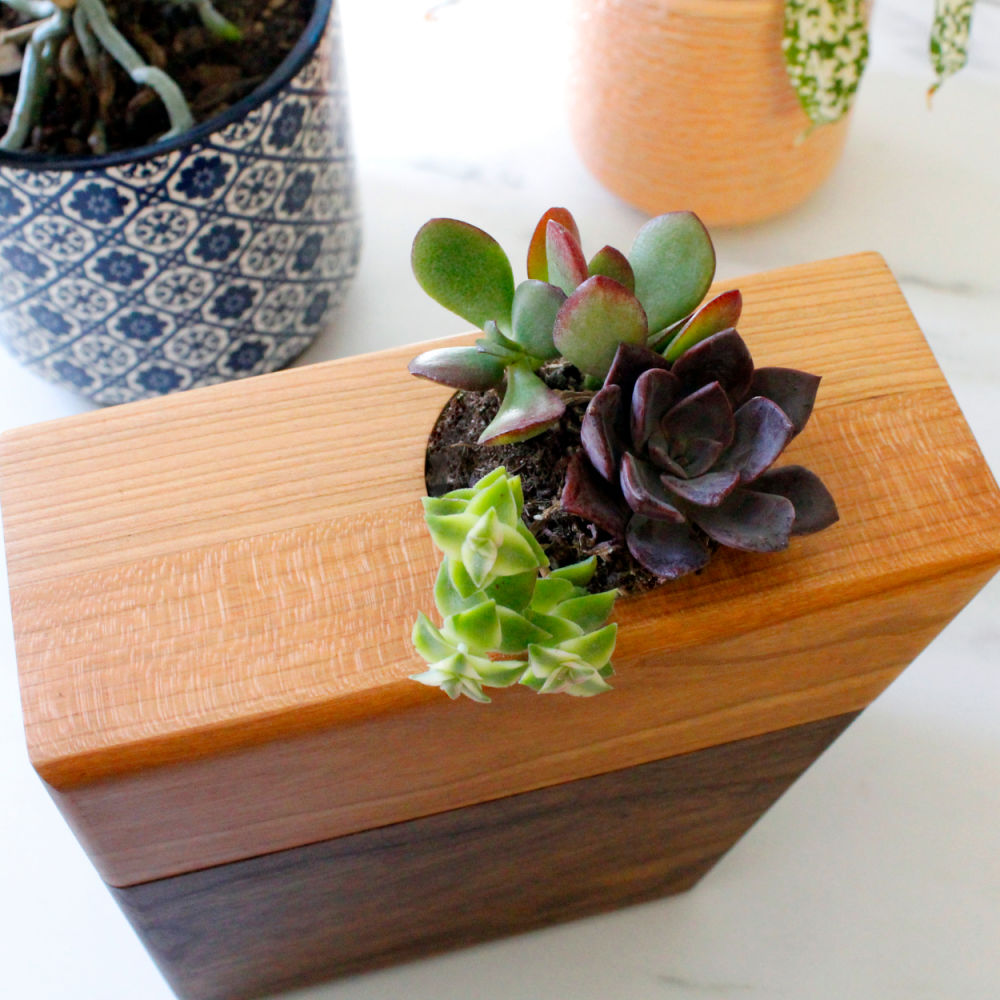 The Living Urn Planter - Green Farewells